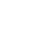dogs