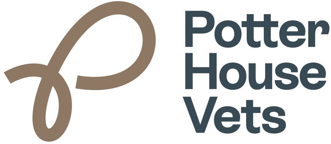 Potter House Vets